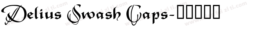 Delius Swash Caps字体转换
